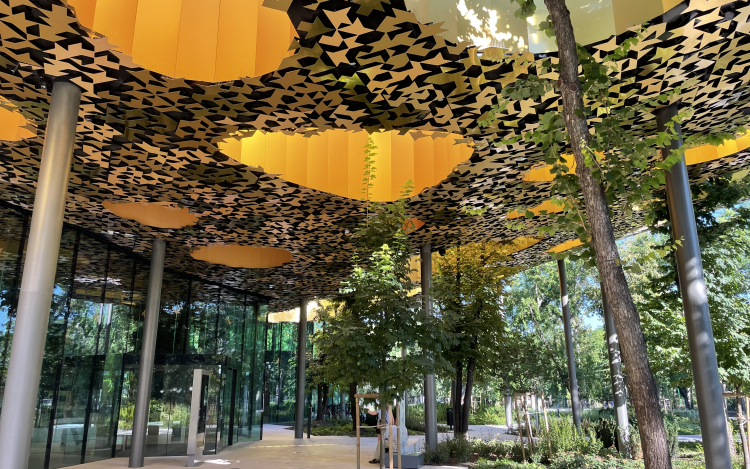 Freddie Mercurynak szentel kiállítást jövőre a Magyar Zene Háza