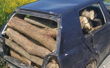 Átalakított autóval lopták a fát
